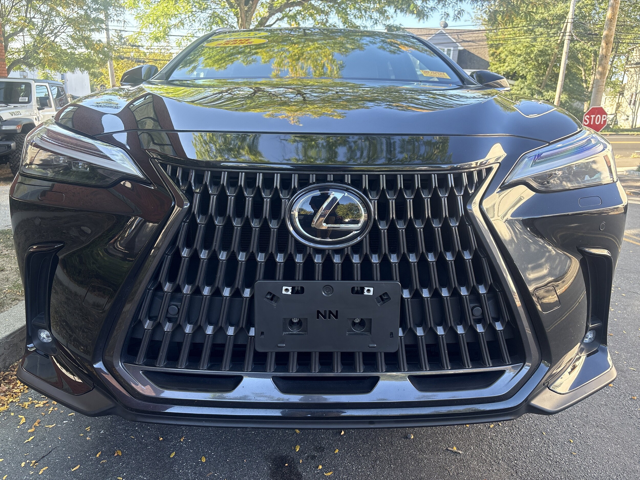 2023 Lexus NX 350 Luxury AWD photo 2