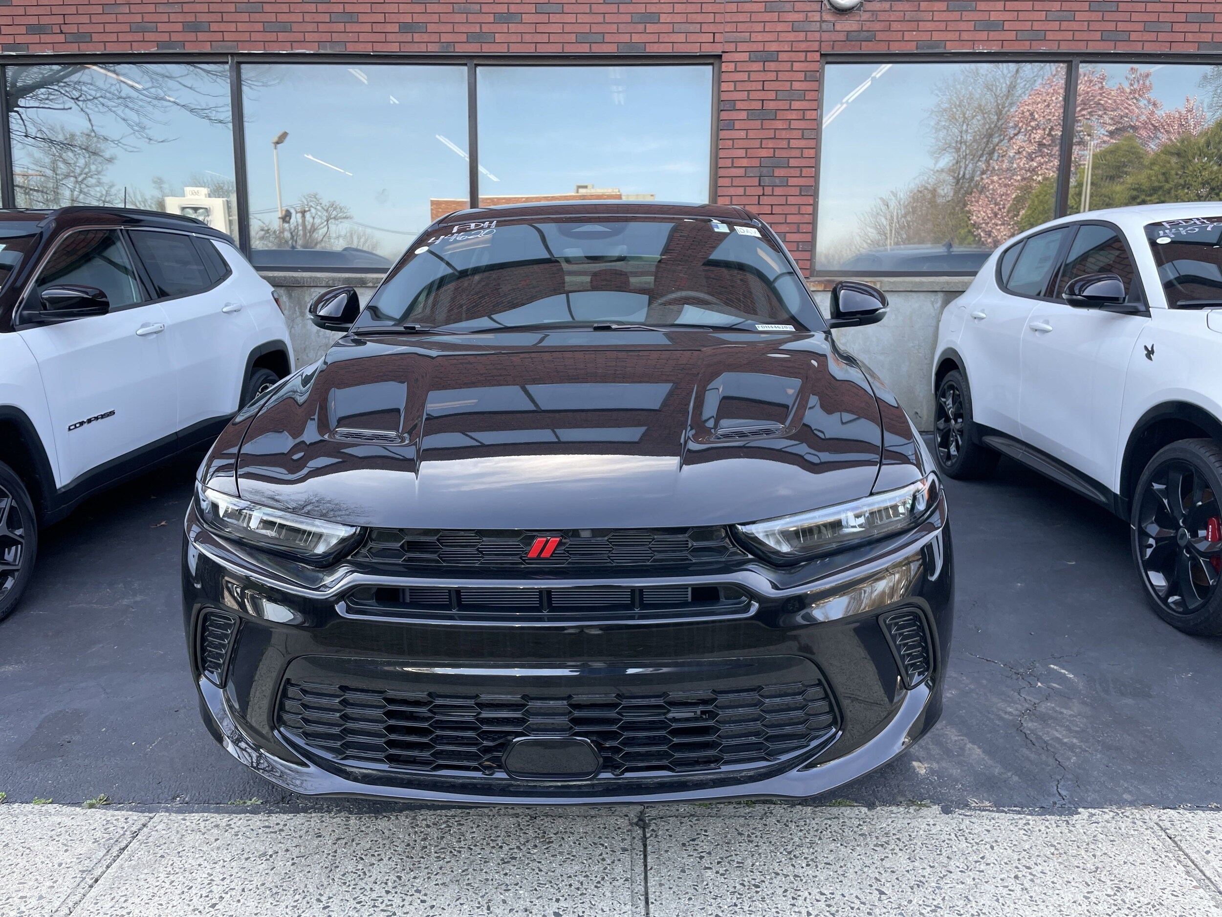 2025 Dodge Hornet R/T photo 3