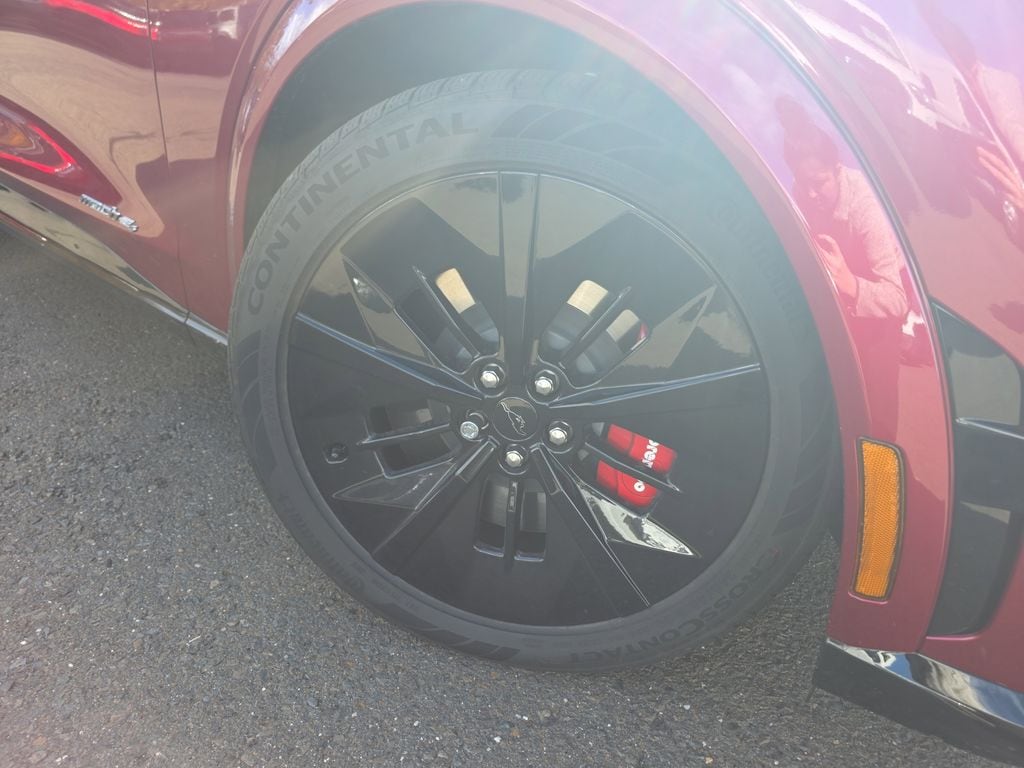 2025 Ford Mustang Mach-E GT - Photo 11