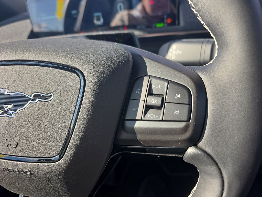 2025 Ford Mustang Mach-E GT - Photo 34
