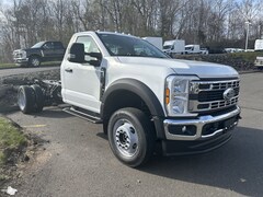 2025 Ford F-450 Chassis Truck Regular Cab