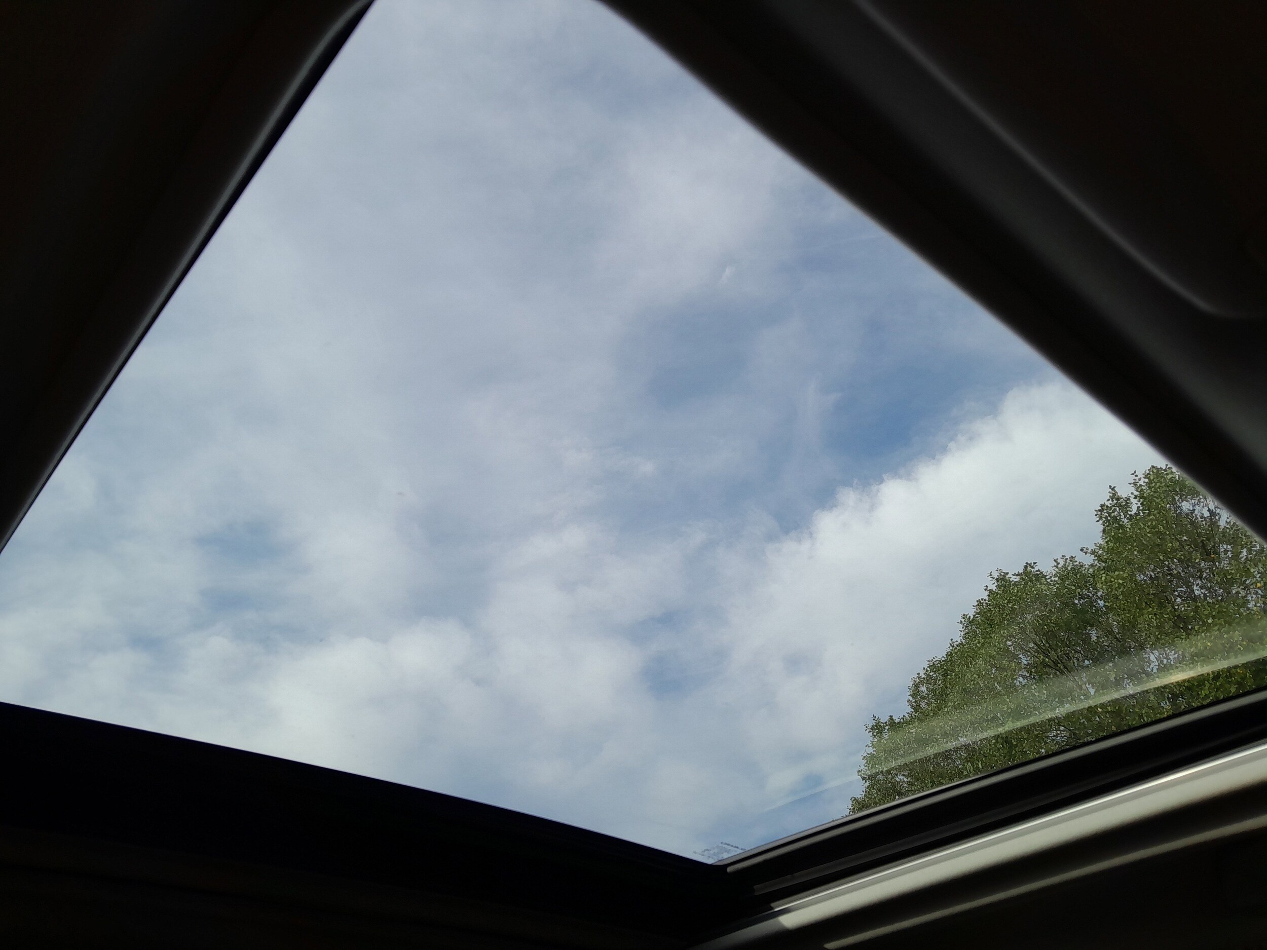 View 39