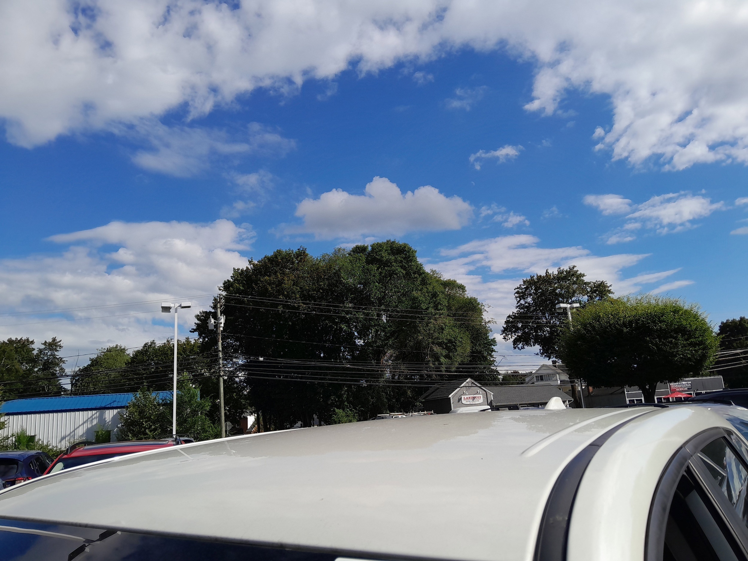 View 40