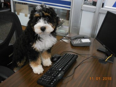 Staff member Baxter Gensinger from ID_b24a7613afd9