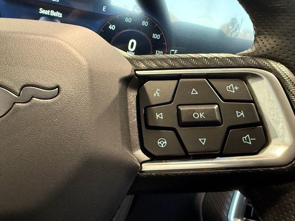 2026 Ford Mustang EcoBoost Premium Fastback - Photo 24