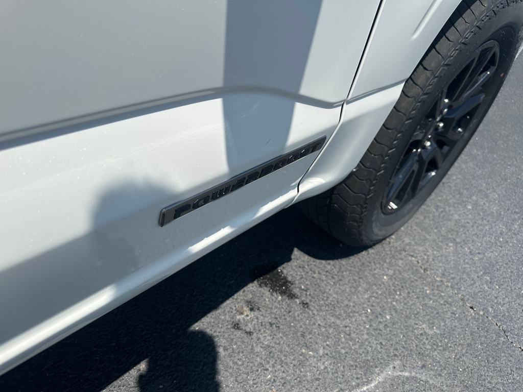2025 Ford F-150 Platinum - Photo 30
