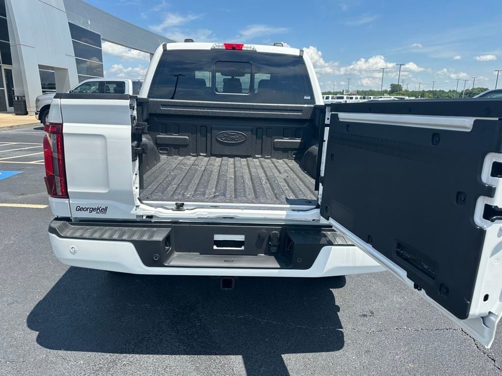 2025 Ford F-150 Platinum - Photo 29