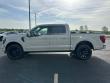2026 Ford F-150 Platinum Truck