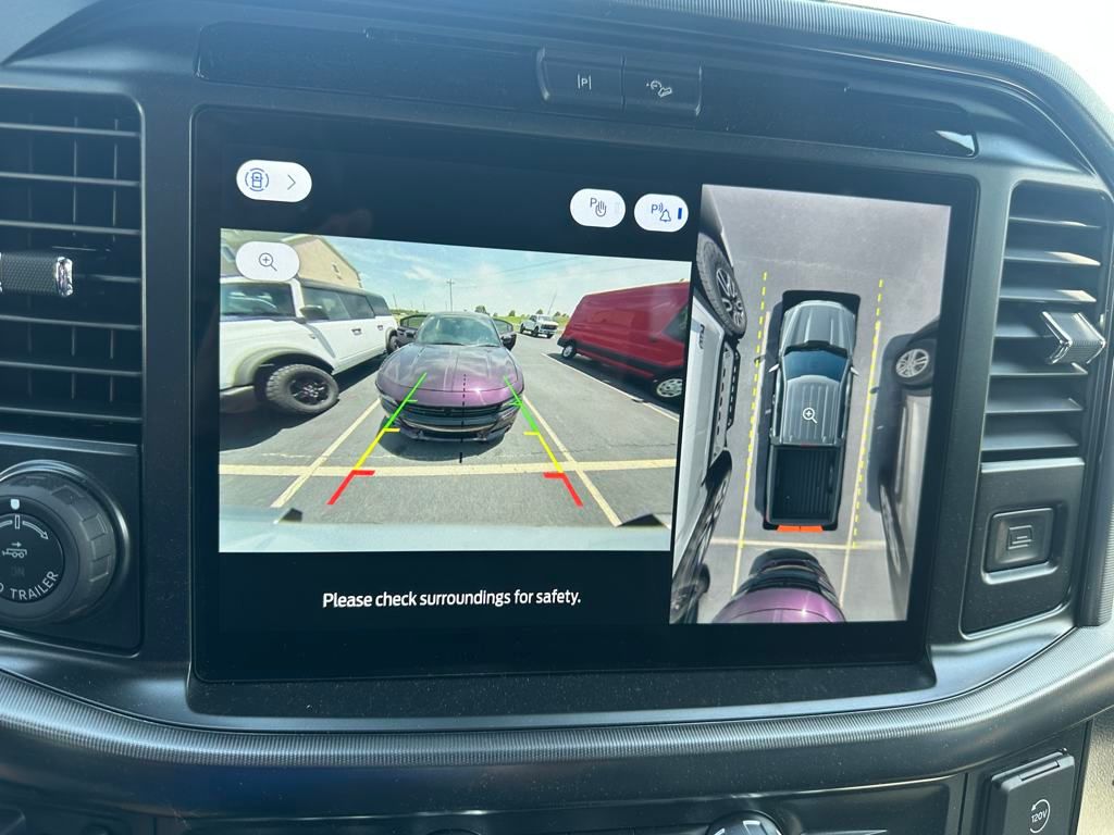 2025 Ford F-150 Platinum - Photo 12