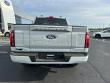 2026 Ford F-150 Platinum Truck