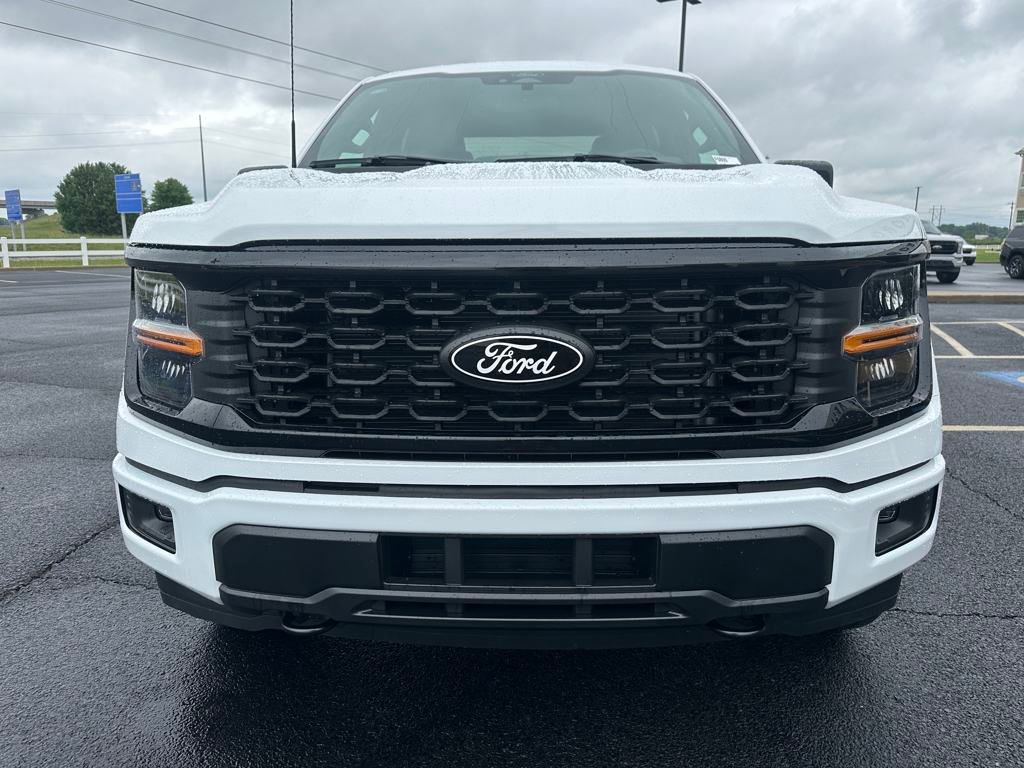 2025 Ford F-150 STX photo 3