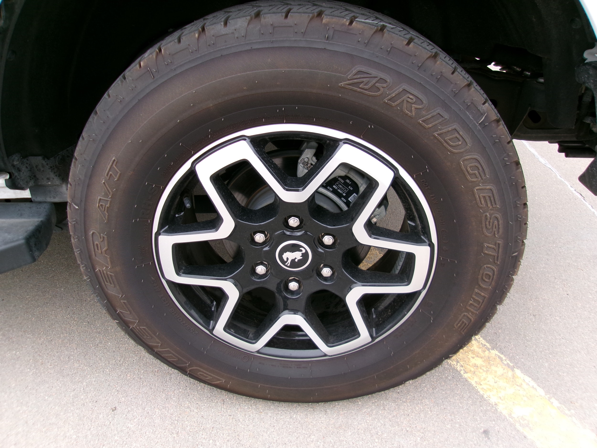 Photo 8