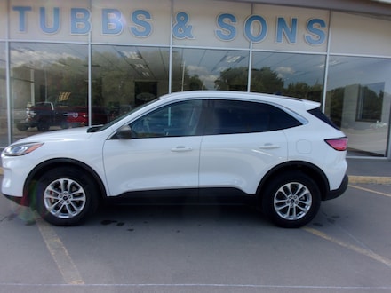 Used 2022 Ford Escape SE SUV for Sale in Colby, KS