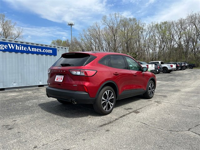 2021 Ford Escape SE Hybrid photo 4