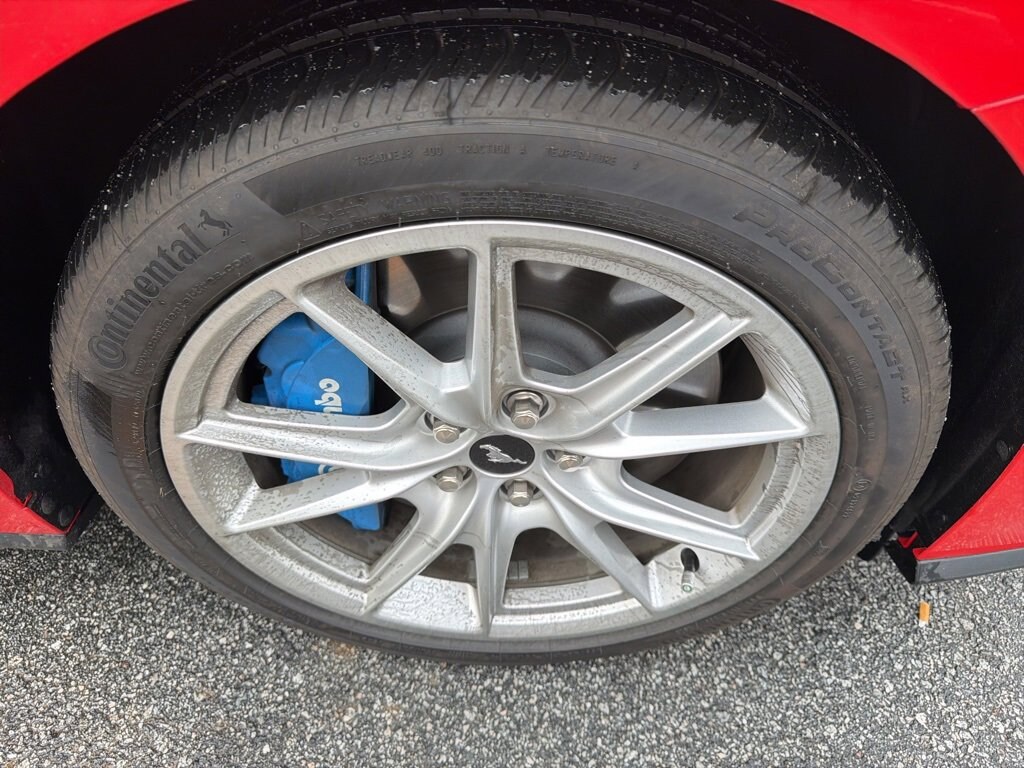 Used 2024 Ford Mustang GT Premium GT Premium Fastback