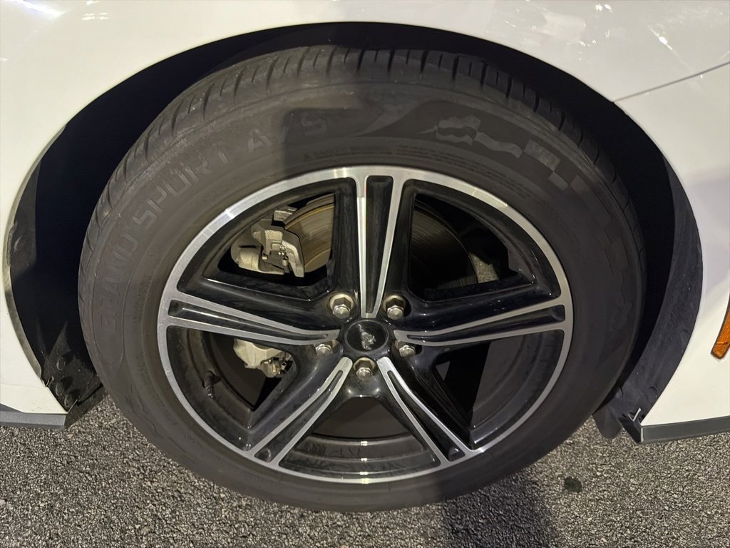 2024 Ford Mustang EcoBoost Premium Convertible photo 3