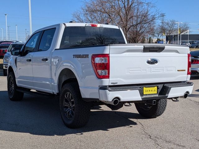 2021 Ford F-150 Tremor - Photo 8