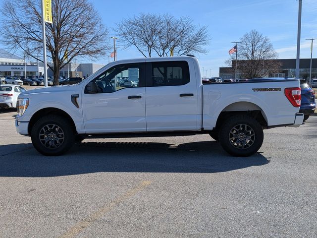2021 Ford F-150 Tremor - Photo 9