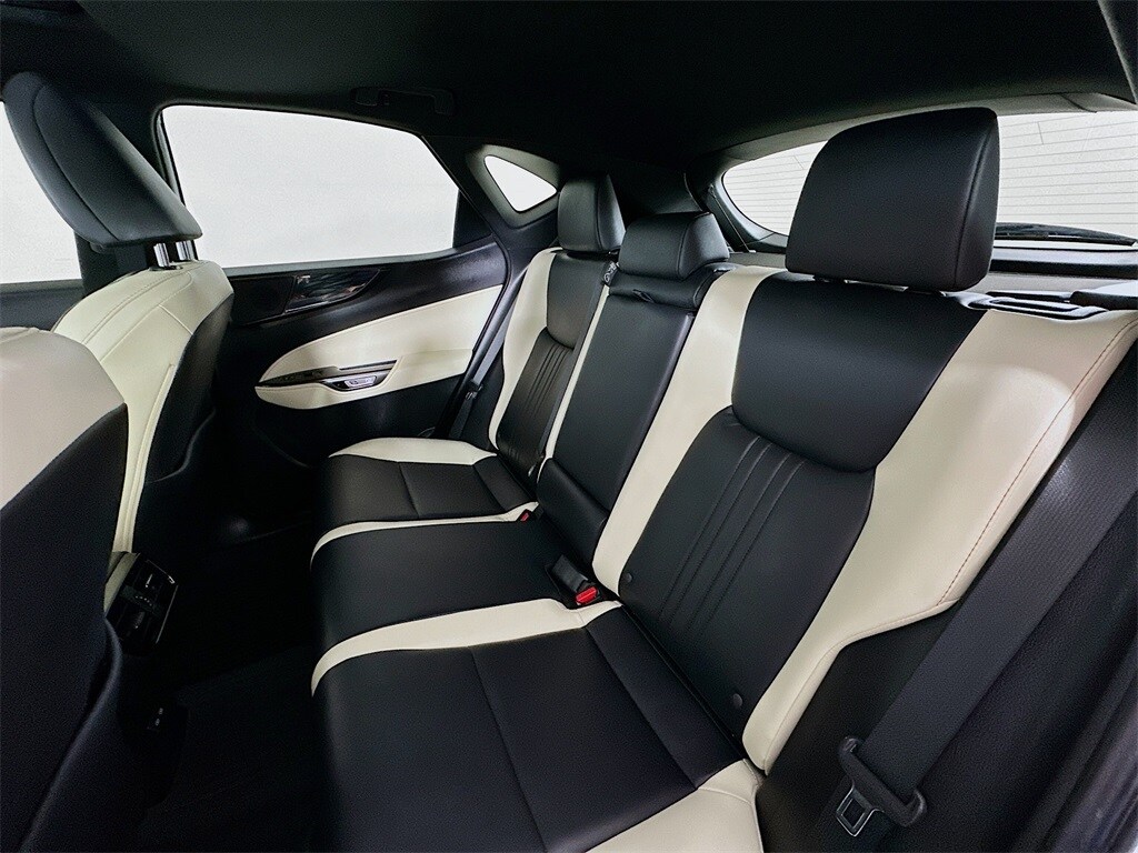 2024 Lexus NX 250 Premium photo 4