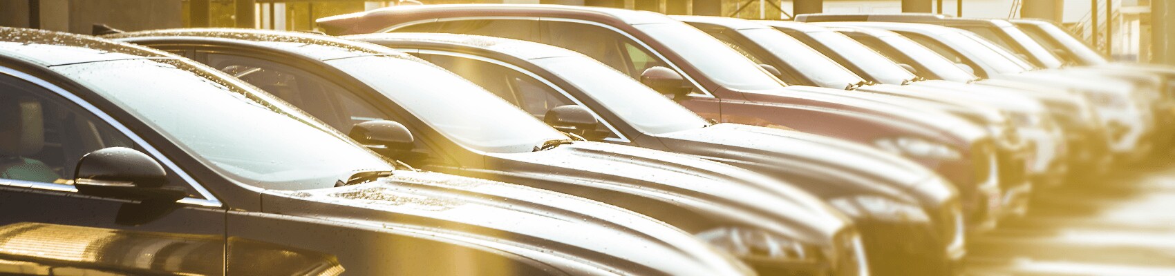 Used Car Dealer near Lansing MI