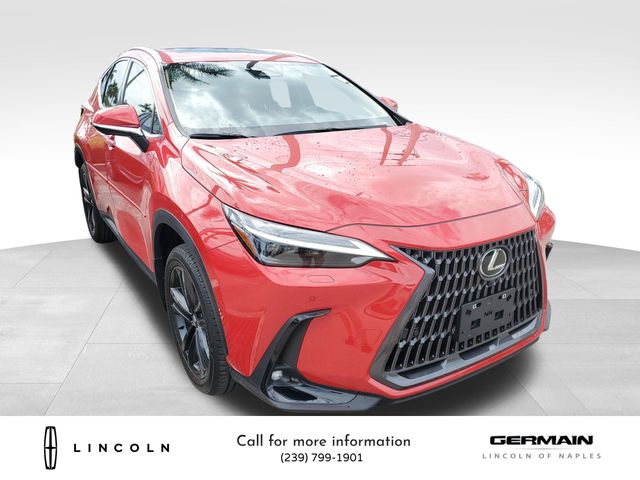 2025 Lexus NX 450h+ Luxury photo 3
