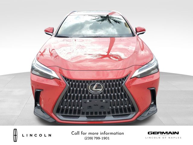 2025 Lexus NX 450h+ Luxury photo 2