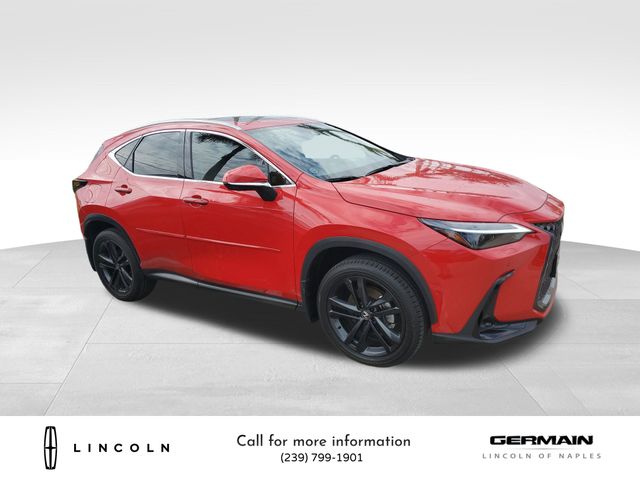 2025 Lexus NX 450h+ Luxury photo 4
