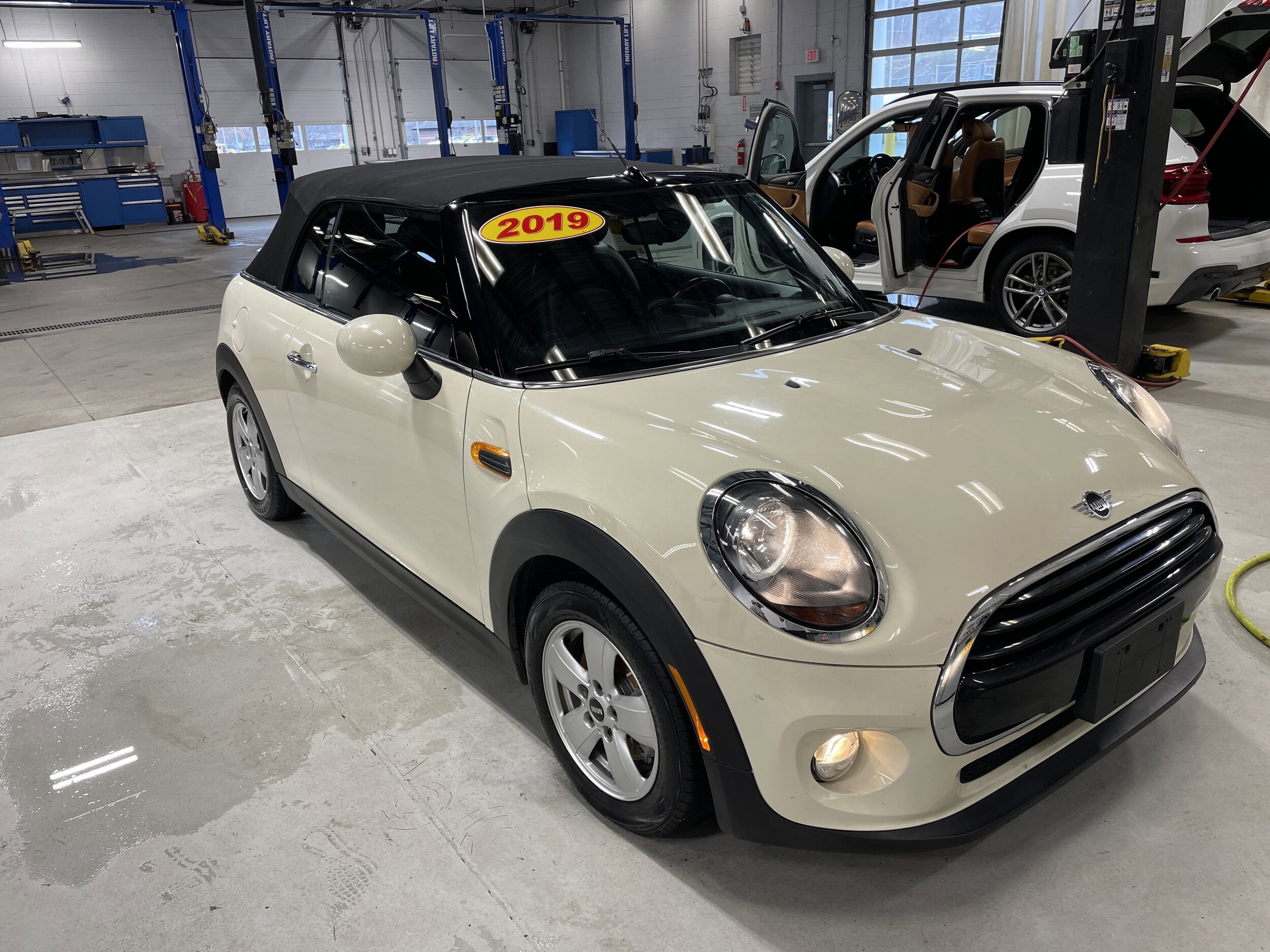 2019 Mini Cooper Convertible photo 3