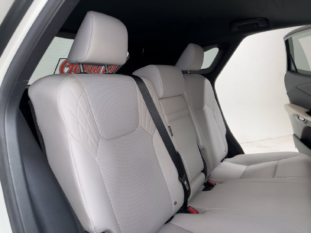 2023 Lexus RX 350 - Photo 20