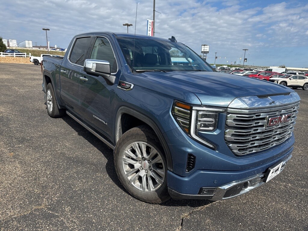 2025 Gmc Sierra 1500 Denali photo 3