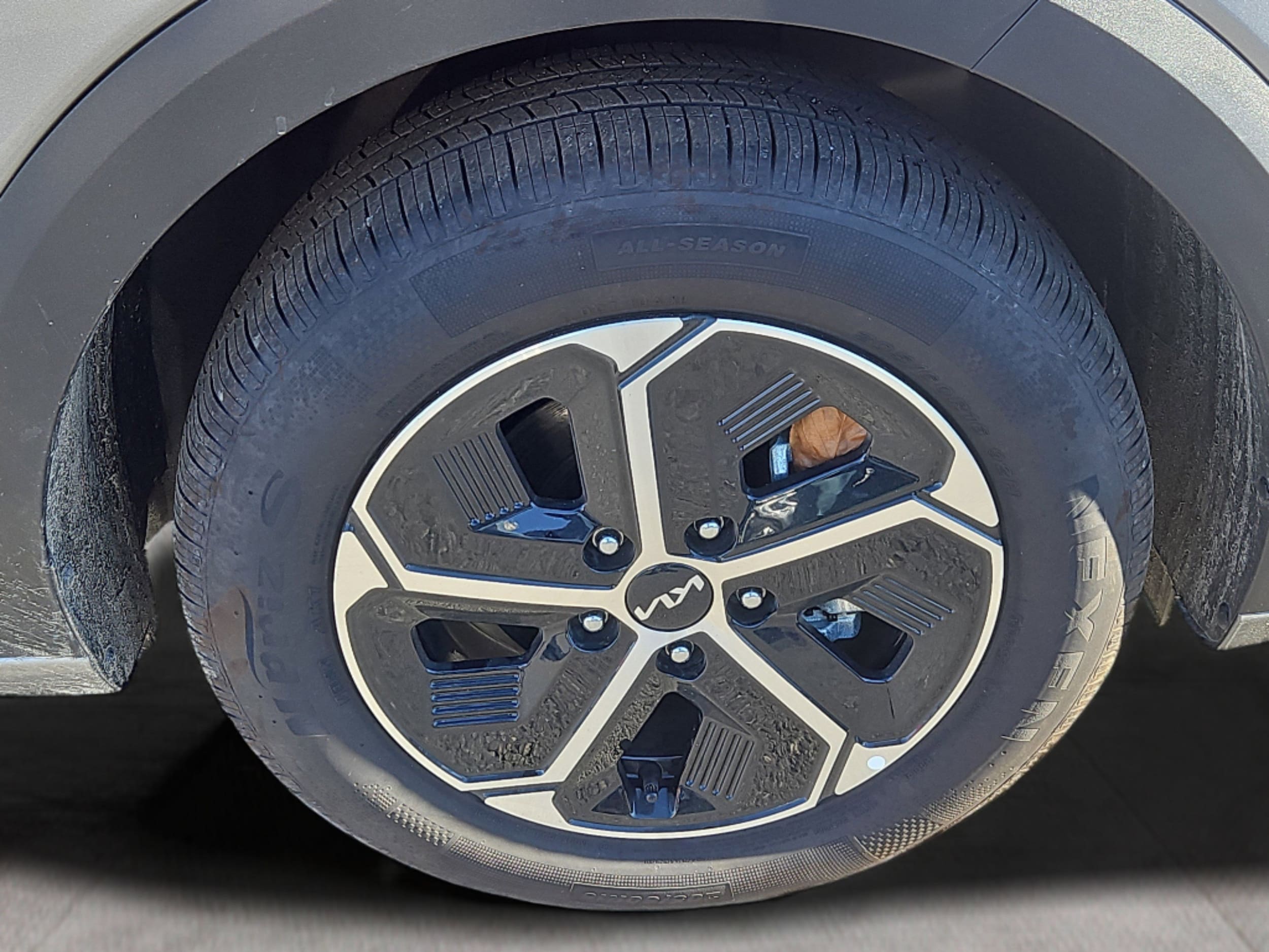 View 24