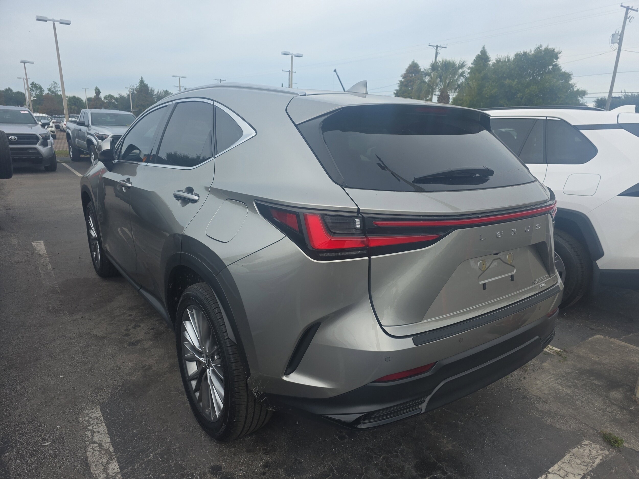 2025 Lexus NX 350h Premium photo 4