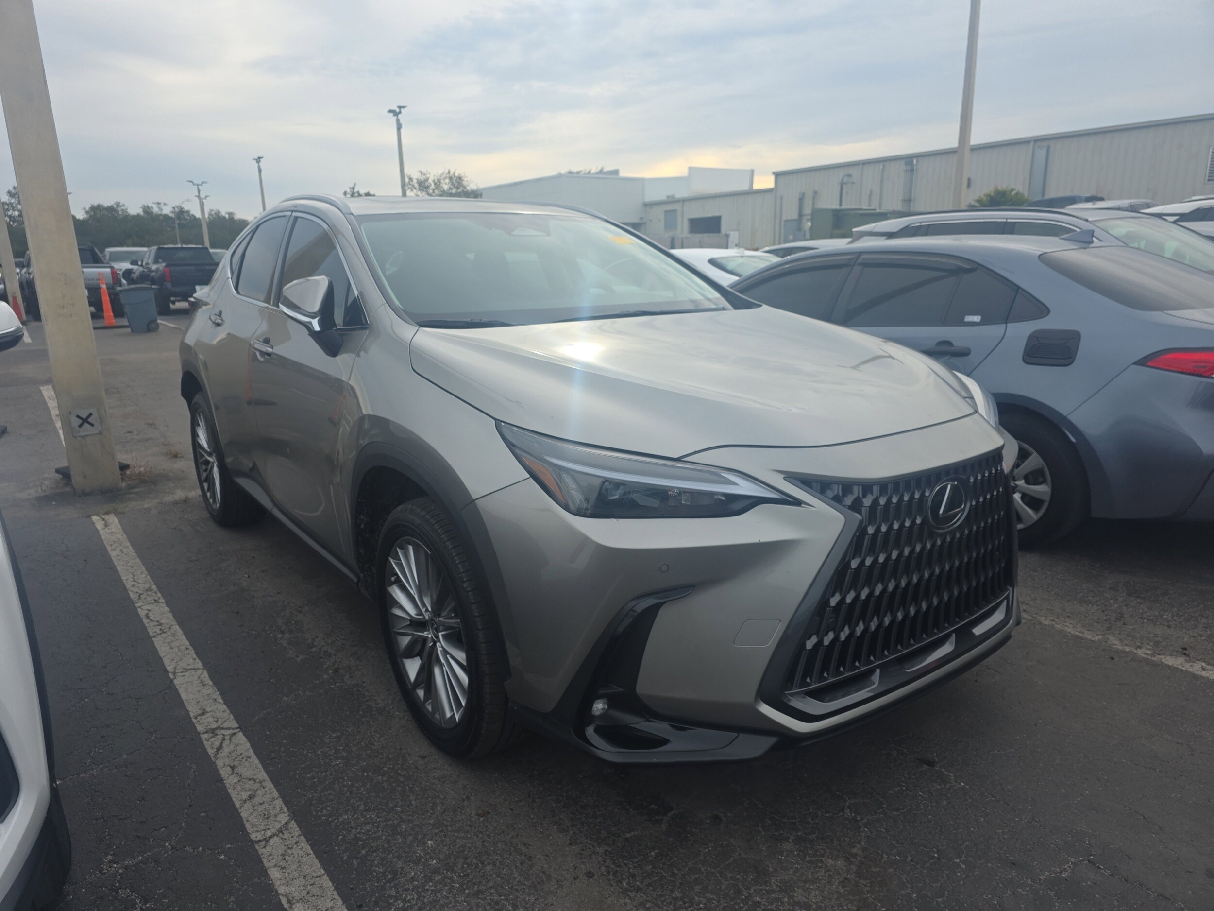 2025 Lexus NX 350h Premium photo 2