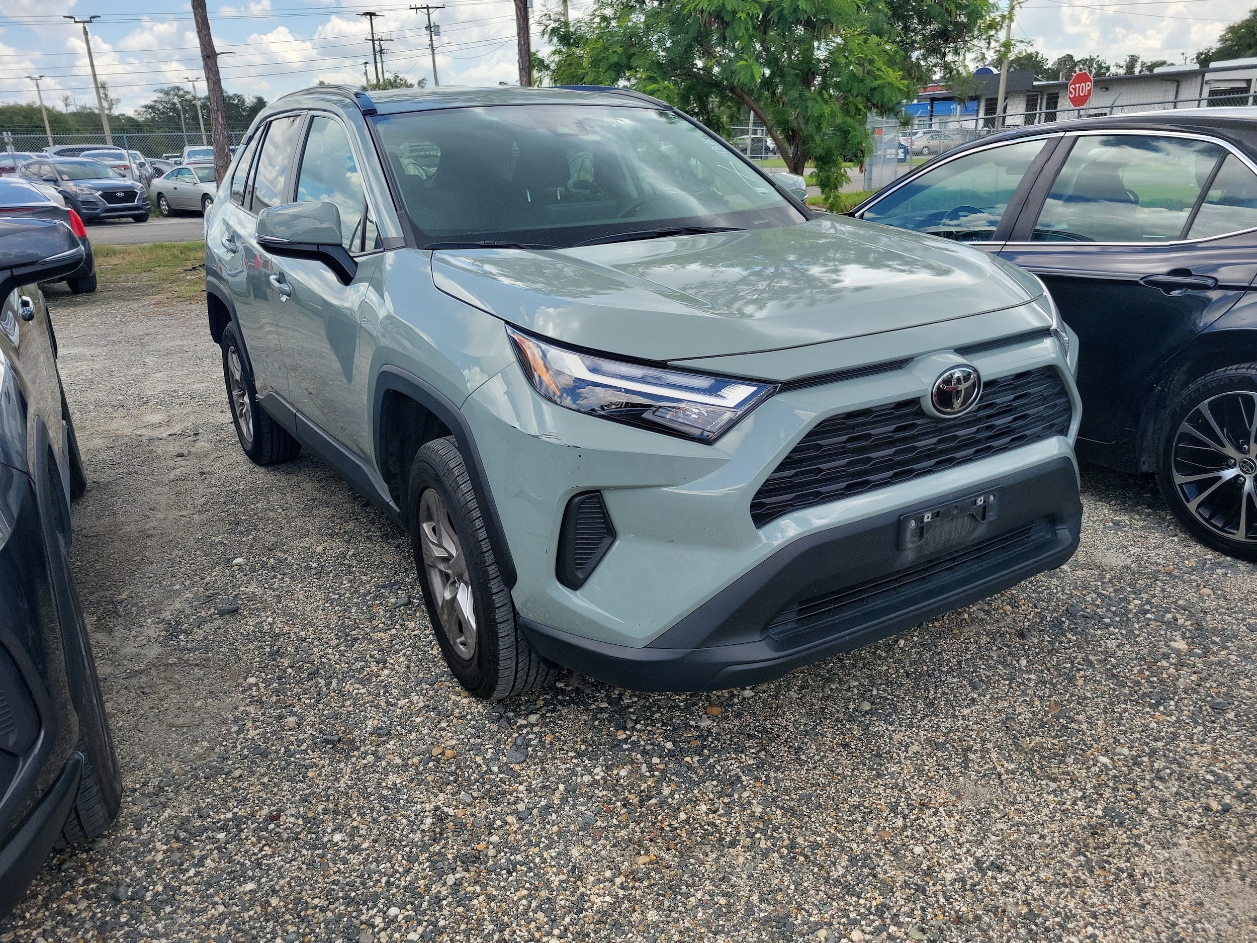 Used 2023 Toyota RAV4 XLE with VIN 2T3W1RFV8PW264376 for sale in Northfield, Minnesota