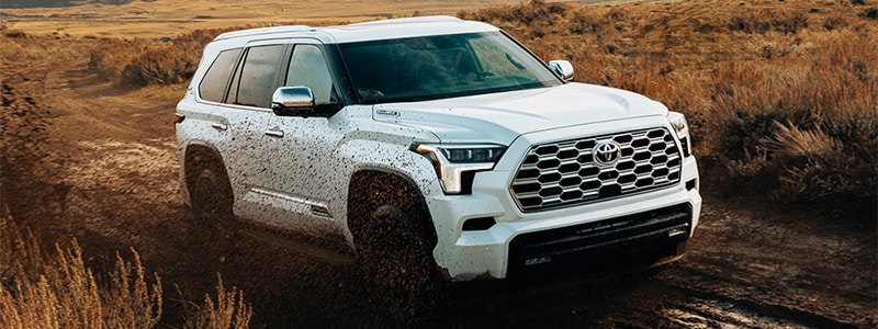 2026 Toyota Sequoia Tampa FL