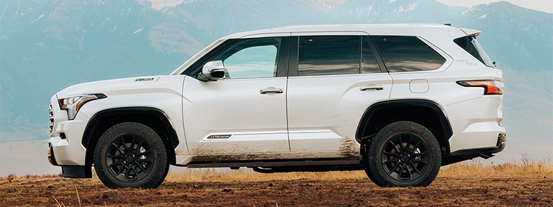 2026 Toyota Sequoia Tampa Florida