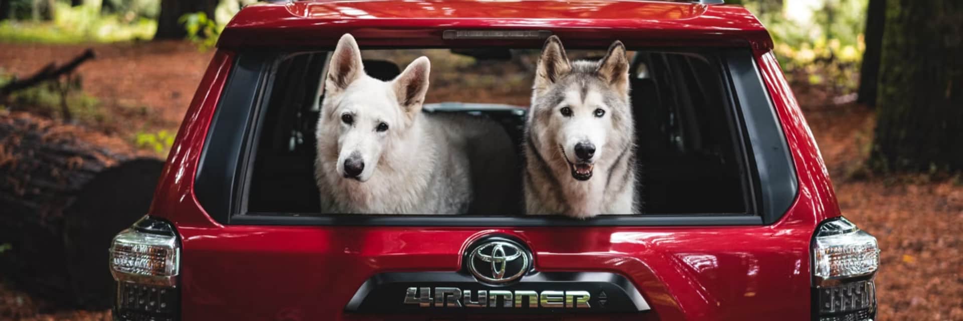 Toyota%204Runner%20vs%20Toyota%20Highlander%20(4).png