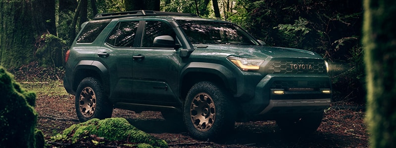 2025 Toyota 4Runner Tampa FL