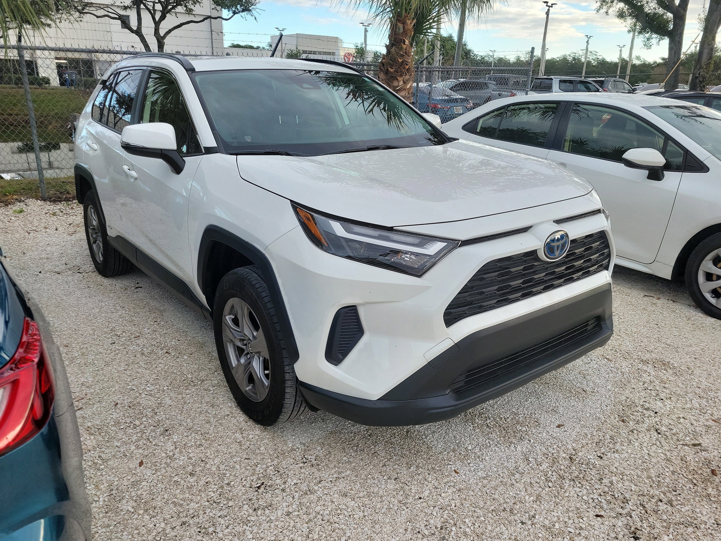 Certified 2023 Toyota RAV4 XLE with VIN JTMRWRFV6PD174266 for sale in Kansas City