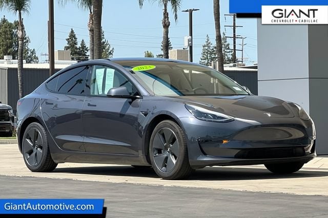 2023 Tesla Model 3 -'s photo