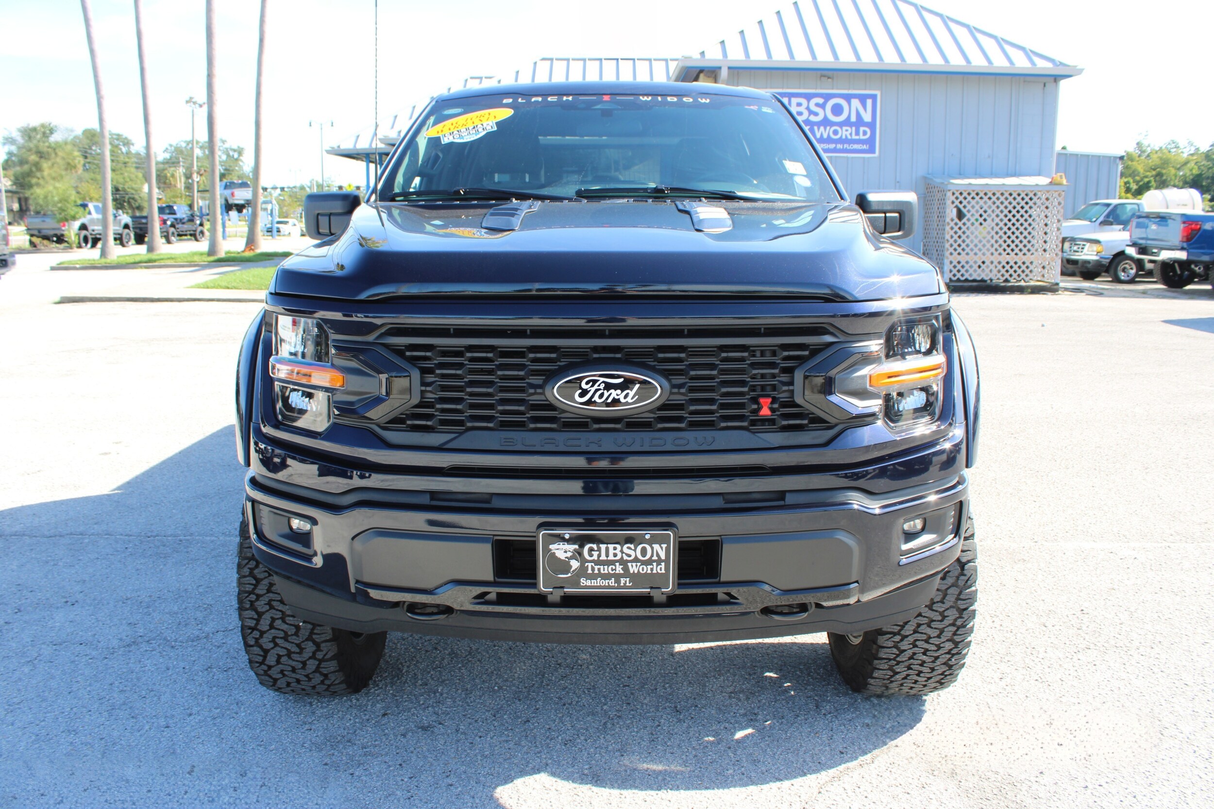 2025 Ford F-150 XLT photo 2