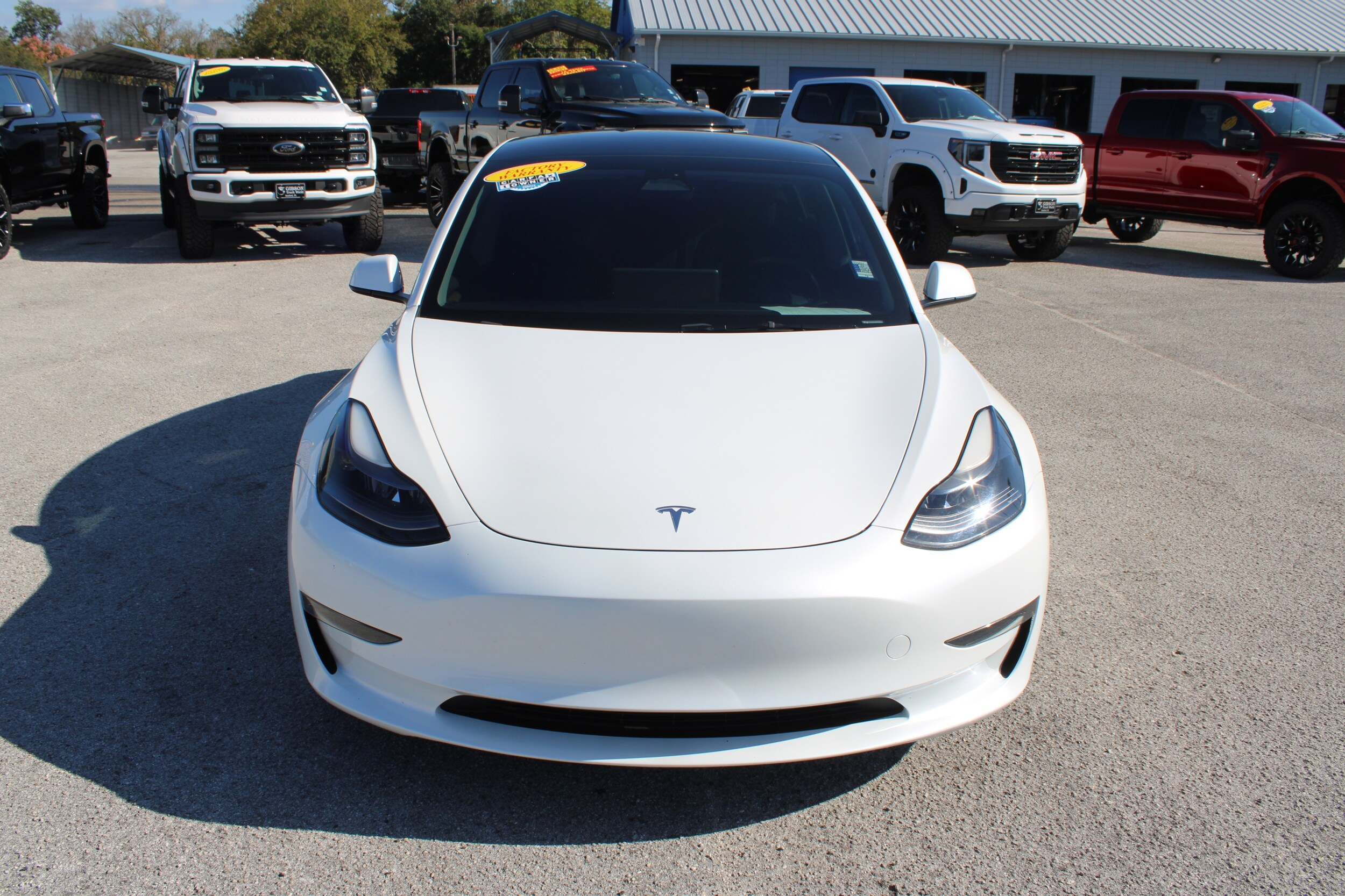 2023 Tesla Model 3 Standard Range photo 2