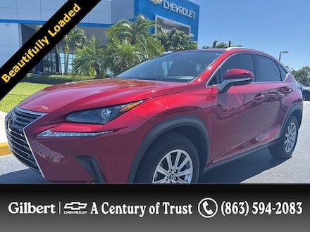 2021 LEXUS NX NX 300 SUV