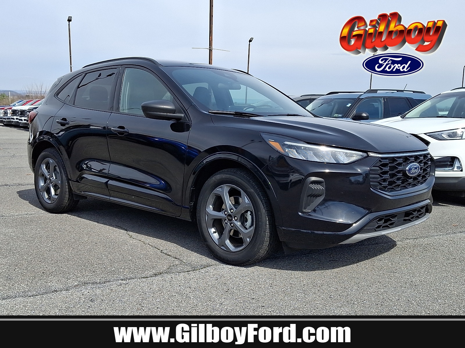 2024 Ford Escape ST-Line