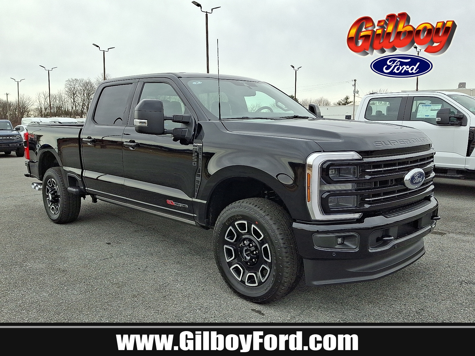 2026 Ford F-250 Super Duty Platinum's photo