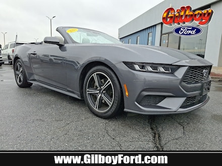2024 Ford Mustang Ecoboost Premium Convertible Convertible