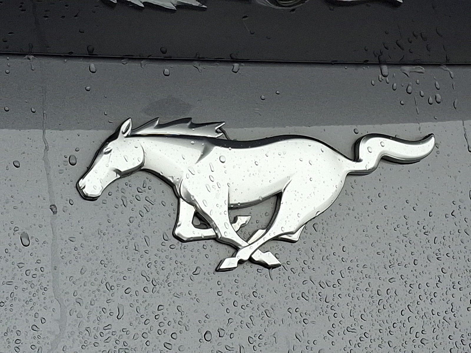 2024 Ford Mustang EcoBoost Premium - Photo 28