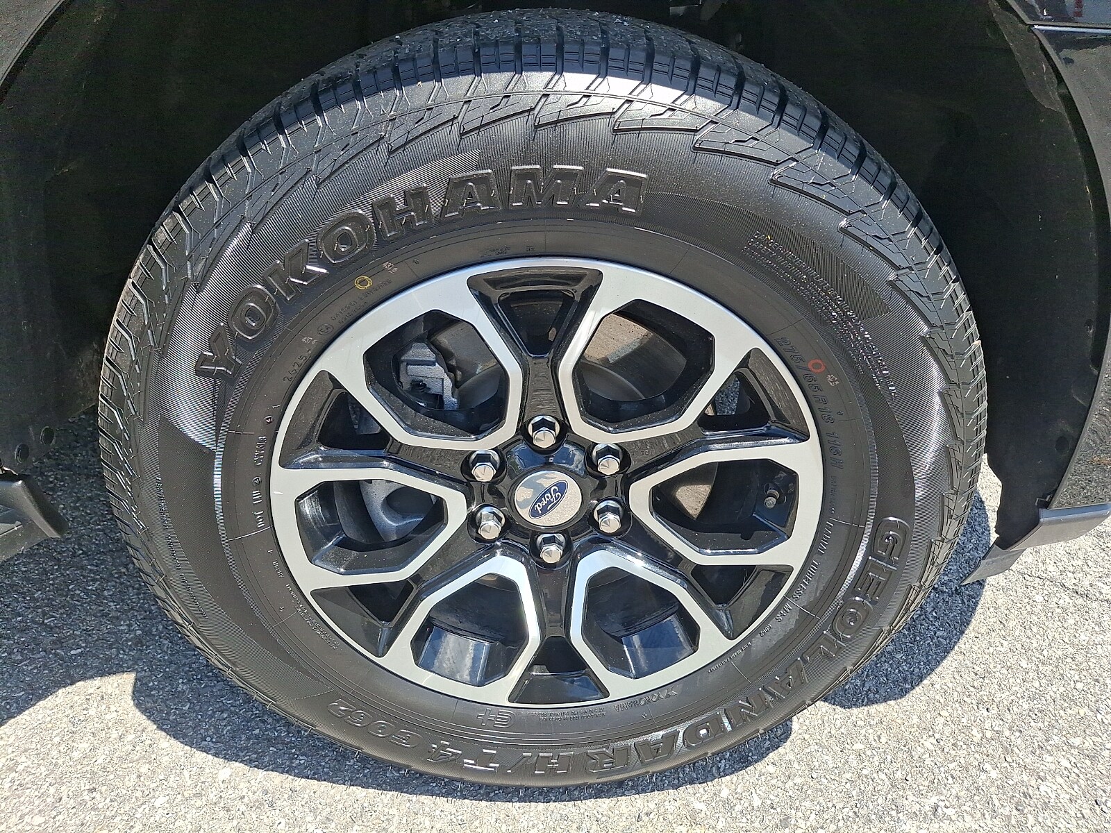 Photo 8