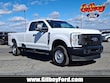 Ford Super Duty F-250 SRW