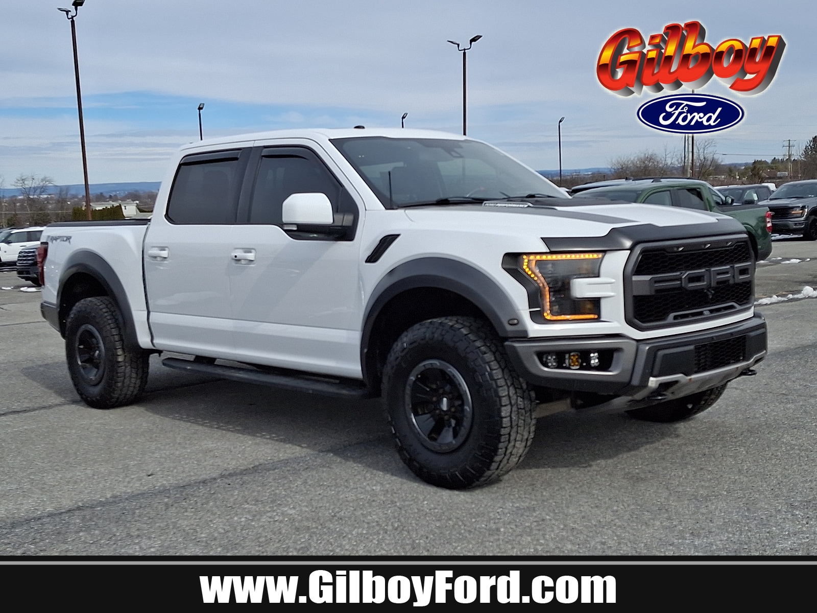 2018 Ford F-150 Raptor